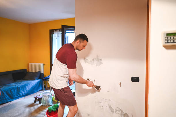 Best Residential Mold Removal  in Lake Kiowa, TX