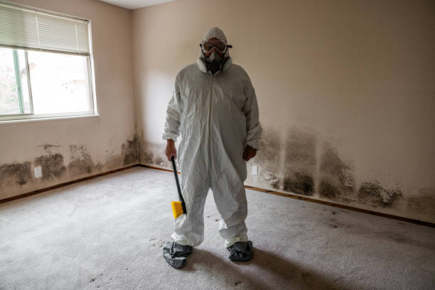 Best Attic Mold Removal  in Lake Kiowa, TX